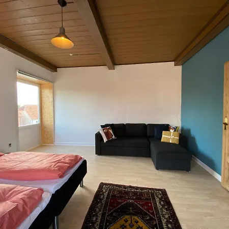 N1 In The Heart Of Lejlighed Højer